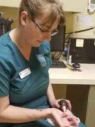 Making a difference: Vancouver vet tech brings love for animals home with  her