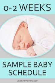 Babywise Schedule Sample For A Newborn When Should They Sleep Newborn Schedule Baby Samples Baby Sleep