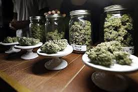 Denver Recreational Dispensary I Northern Lights Cannabis