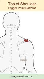 Pin On Traditional Chinese Medicine