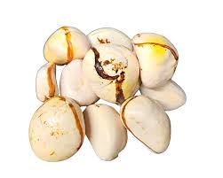 Obi Nacional Branco - Unidade