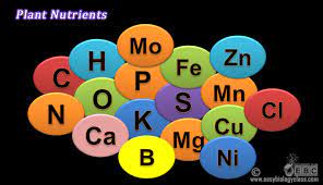 Your body needs these nutrients in larger amounts in order to function properly as macro means large. Difference Between Macronutrients And Micronutrients Easy Biology Class