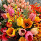 Downtown Lee’s Summit Farmers Market Presented by Midwest Property Resources