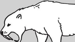 Heute geht man davon aus, dass es sich hier um einen übersetzungsfehler handelt und im originaltext eigentlich der wildstier oder auerochse gemeint war. Stationenrallye Tiere Der Steinzeit Pdf Kostenfreier Download
