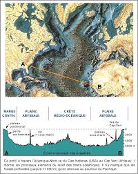 Les posidonies océaniques à la rescousse des océans. Chapitre V C Bantegnies
