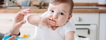 How do you make wheat flour for babies? Faq Introducing Your Baby To Solid Foods Patient Education Ucsf Benioff Children S Hospitals