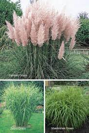 Garden Design For Winter Design A Garden For Year Round Enjoyment Urban Garden Winter Garden Garden Design