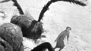 Them definition, the objective case of plural they, used as a direct or indirect object: Silver Screams Them 1954 The Giant Ant Movie That Could Nightmare On Film Street
