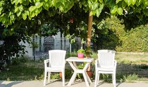 Epingle Sur Astuces Jardin