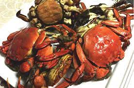 Tsugani (moke crab)｜Kochi|The rich taste of miso is exquisite｜eats.jp
