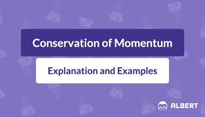 Conservation of Momentum: Explanation and Examples | Albert Resources