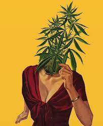 Check spelling or type a new query. Weed Wallpaper