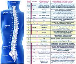 Pin On Chiropractic