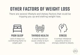 Pin On Infographics