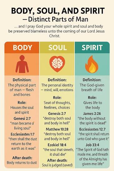 What is the difference between spirit, soul, and body in the Bible?