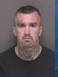 Sheriff: Man arrested after he's talked down from tree following a pursuit