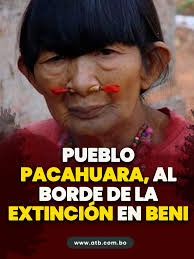 Pueblo Pacahuara, al borde de la extinción en Beni El defensor del Pueblo,  Pedro Callisaya, alertó que la nación indígena Pacahuara enfrenta un grave  riesgo de desaparición en Bolivia. Solo cuatro ...