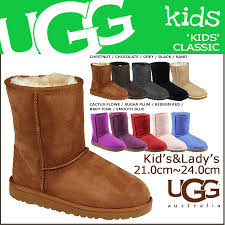 Plum Color Ugg Boots