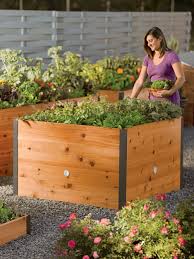 A raised garden bed (or simply raised bed) is a freestanding box or frame—traditionally with no bottom or top—that sits aboveground in a sunny spot so, your raised bed can be 4 x 4 feet or 4 x 8 feet or 4 x 12 feet. 4 X4 Elevated Cedar Raised Bed Raised Planter Beds Us Made