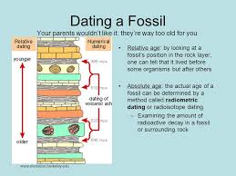Unreliable carbon dating puts dinosaur bones over 100000 years old… my goodness. Dating Fossils How Are Fossils Dated