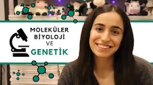 Check spelling or type a new query. Molekuler Biyoloji Ve Genetik Nedir Is Alanlari Ve Ulkemizdeki Konumu Youtube