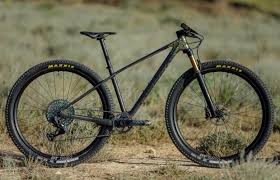 You'll have to scan down a bit to find the top americans, haley batten , who placed 16th among the women, and christopher blevins, who placed 21st among the men. Nino Schurter And Jolanda Neff Win The Swiss Championship