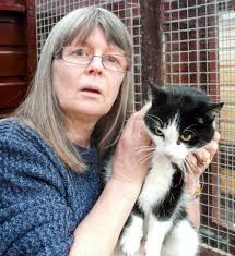 Horrific pictures show how cat was nearly sliced in half after being  trapped in cruel snare for almost two months