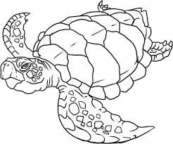 This picture will be easy to color owing to its large size. Ocean Coloring Pages 100 Pictures Free Printable