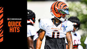 Quick Hits | Ride Captain Ride As Bengals Usher in New Defensive Leaders Such as Bryan Cook: 'He'll Put It On Himself'