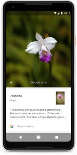 Kontakt lensler ve lens markaları, saydam, günlük, renkli lens ve aradığınız lens çeşitleri indirimli numaralı lens fiyatları ile lensmarket'de. Google Lens Is Coming To Phones From Samsung Lg And More Cnet