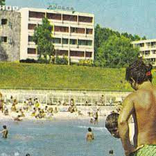 Stelele de mare sunt foarte diferite de celelalte viețuitoare marine. Steaua De Mare Steaua De Mare By Future Nuggets