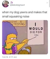 Or When I Pick Up My Cat Quickly And He Makes A Tiny Squeak Laughing So Hard Memes Quotes Relatable