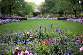 Mike coates a publié cette image parterre de fleurs assortiment sous licence de domaine public. Comment Creer Un Massif De Fleurs