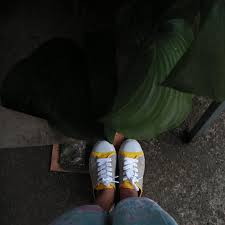 Rusuk pada tabung berupa …. Banyak Sisi Dan Banyak Rusuk Pada Prisma Segi Sembilan Brainly Co Id