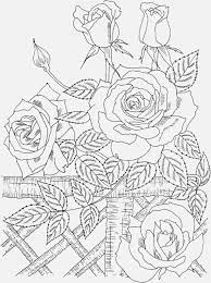 They are just begging for you to add some hues and your own creative touch. Coloring Pages Of Roses Language En Coloring Pages Of Crosses And Roses At Getcolorings Com Pingin Jatuh