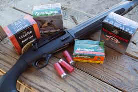 Slugs, on the other hand, are more like a traditional cartridge. Mad Gun Science Is Birdshot Effective For Home Defense Outdoorhub