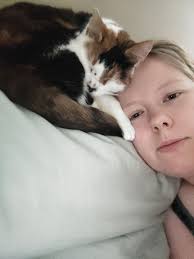 Has anyone seen my girl maple (black n white) she has a leopard print pink  collar