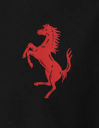 We did not find results for: Ferrari Kids T Shirt With Ferrari Logo Tape And Prancing Horse Man Ferrari Store