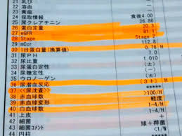 腎 生 検 結果 異常 なし ブログ