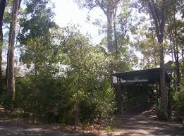 For outdoor programs (including amphitheaters) a series of surveys was conducted by penn state in 2017 and 2018 to assess the attitudes and opinions of pennsylvania state park visitors and the public regarding key issues affecting the future of the state. Brisbane Forest Park Wikipedia