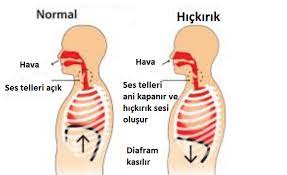 Maybe you would like to learn more about one of these? Neden Hickiririz Nasil Kurtuluruz Guzel Sozler 2021
