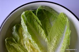 Potete sperimentare una chiarata che vi incuriosirà e divertirà se non l'avete mai fatta: Il Modo Migliore Per Conservare Le Foglie Di Lattuga Per L Inverno Come Conservare La Lattuga