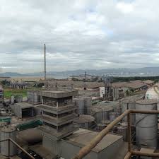 Soon soon oilmills is one of this region's leading solvent extraction oil miller and producer of ingredients for the food, feed and general industries. Soon Soon Oilmills 95 Visitors