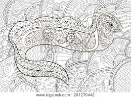 These easy eel crafts are the perfect summer craft and learning phonics letter e! Ugly Creepy Fish High Vector Photo Free Trial Bigstock