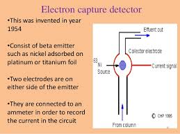 Flame ionization detector is the most common type of detector used in gc. Detectors In Gc