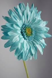 Hot promotions in tiffany blue silk flowers on aliexpress if you're still in two minds about tiffany blue silk flowers and are thinking about choosing a similar product, aliexpress is a great place to compare prices and sellers. Silk Gerbera Daisy Tiffany Blue Save 20 Beautiful Flowers Wallpapers Flowers Beautiful Flowers