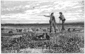 Image result for Oldfieldia macrocarpa