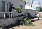 Image result for pole and dagga houses