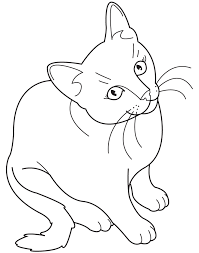Realistic Cat Coloring Pages Coloring Picture Hd For Kids Cat Coloring Page Animal Coloring Pages Cat Coloring Book