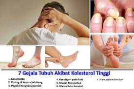 Namun ingat, mengingat gejala yang anda alami biasanya adalah gejala dari komplikasi kolesterol, tandanya gejala ini muncul setelah anda. 7 Gejala Tubuh Akibat Kolesterol Tinggi Beberapa Penyakit Akibat Tingginya Kolesterol Antara Lain Serangan Jantung Stroke Dan Penyumb Tubuh Tips Penyakit
